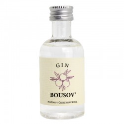 Gin Bousov